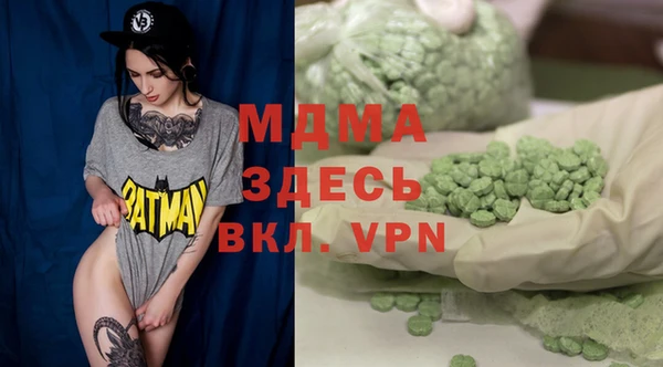 индика Алексин