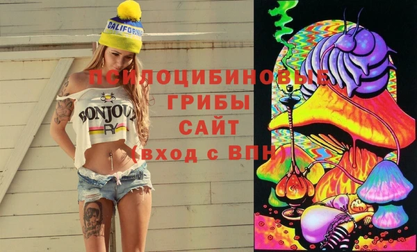 тгк Алзамай