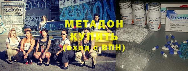 индика Алексин