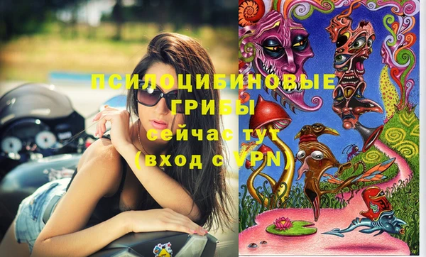 индика Алексин