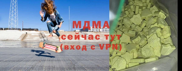 индика Алексин