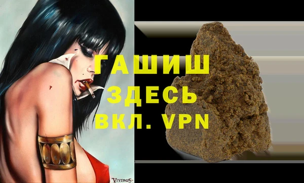 индика Алексин
