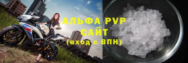 индика Алексин